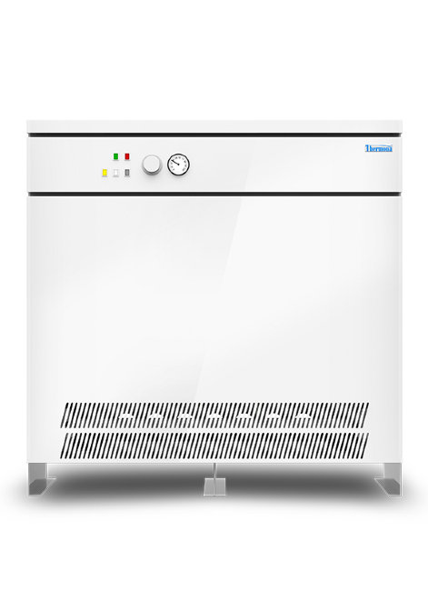 Газовый напольный котел THERMONA THERM 120 E в Казани Газовый напольный котел THERMONA THERM 120 E в Казани